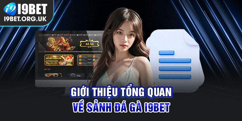 Giới thiệu đá gà trực tuyến i9bet