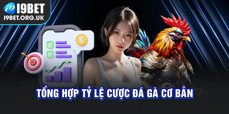 Tỷ lệ cược đá gà i9bet cơ bản